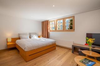 Mountain View Studio Adelboden Next to Gondola & Spa - 2