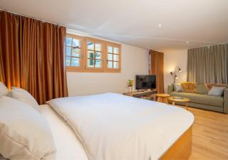 Mountain View Studio Adelboden Next to Gondola & Spa - 1