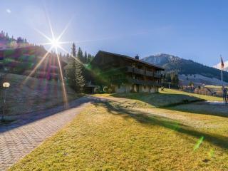 Alpine Studio for 4 in Nature Parc balcony&Parking - 5