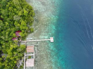 The Driftwood House - 7