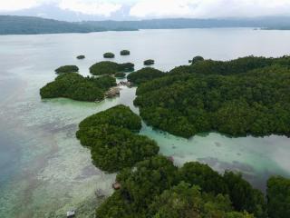 The Driftwood House -  - 8