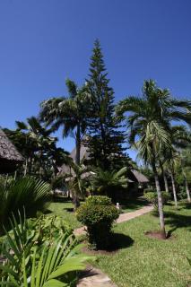 Aestus Villas Resort - 9
