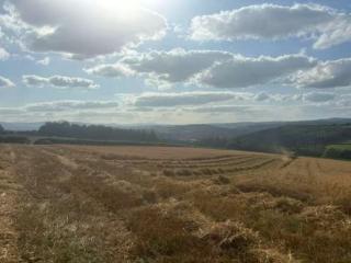 The Cottage at Sychnant Farm - 1