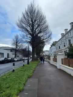 Osborne Aparthotel - 1