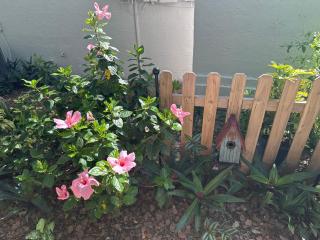 Serenity Gardens private guest suite in Historic Lutz - 9