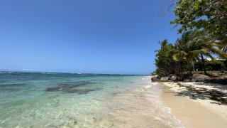 Blue Garden A 2 pas des plages - 8