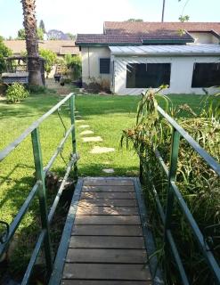 River in the Garden - 4