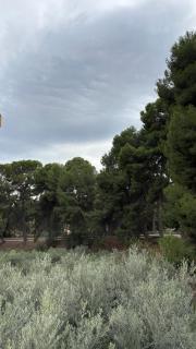 Habitaciones Lasa - 4