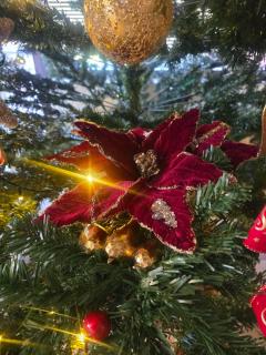 Αρχοντικό Παπανικολάου - 7