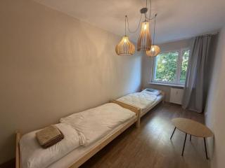 Albert self check-in free parking - 6