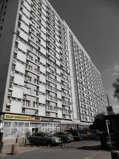 Rooms in Warsaw - P13-19 - 2