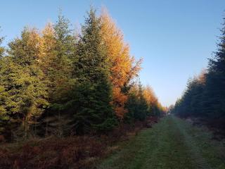 6 person holiday home in Toftlund-By Traum - 8