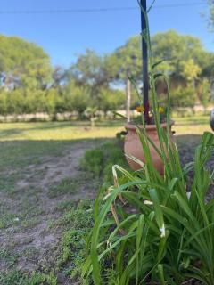 SuiteMilSueños - Mina Clavero - 7