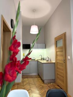 Przytulne mieszkania na wynajem - 2