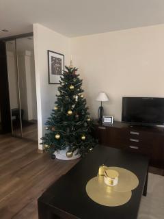 Trumpalaike buto nuoma - 9