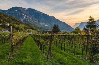 Maso Via Vecchia - 4