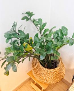 Balcony Room with City view - 4