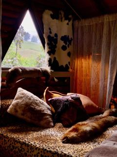 Cabaña Caballo Dorado - 9