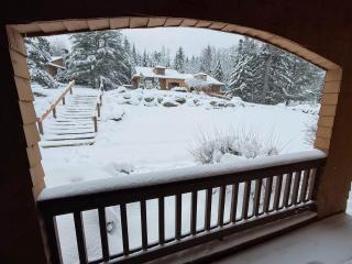 FC20 Remodeled Forest Cottage home - AC, great for kids, lots of yard space! Walk to the slopes! - 3