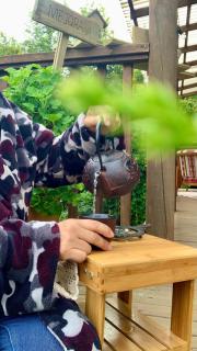 Cabaña Caballo Dorado - 5