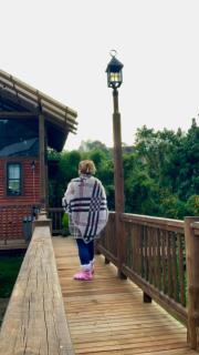 Cabaña Caballo Dorado - 2