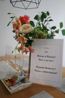 Duna 4 ppl Apartment in AC in Budapest City by NW - 1