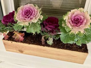 The Main Street Bungalow - Downtown Bentonville - 1