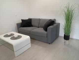 Apartma Jamna I Self-Check-In I Free Coffee & Tee - 5