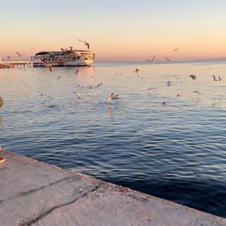 Mare Blue Durres - 0