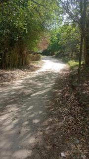 El Descanso Cabañas - 6