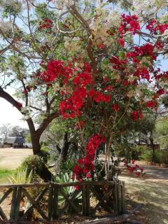 Mount Festiva Lodge - 4