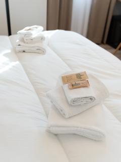 VILLA ISABELLA Ospedale Cisanello - 2