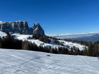 apartment center pepi - 1