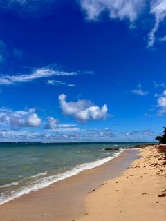 Appartement Cosy Plage Autre Bord Vue Mer et Terrasse - 1