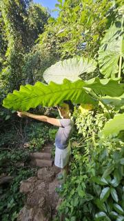 Cat Ba Nam Phong Hotel - 1