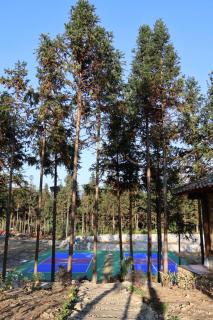 Balana Hà Giang - 1