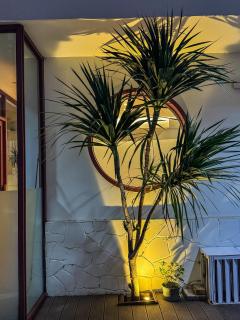 Guilin Reed Flute Cave LaVie Villa - 6