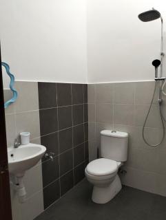 Betta Imbellis Stay - 5