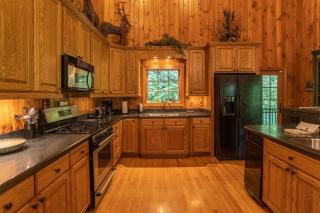 Honey Bear Haven - 2