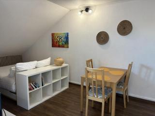 Beautiful Studio at Geneva airport Ferney Voltaire - 1