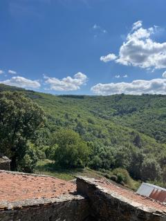 Maison de charme entre le Larzac et les Cévennes - 3