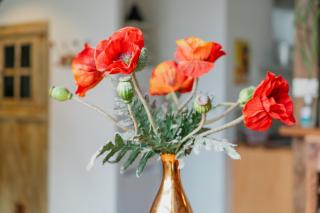 Gîte du 17 - bien-être avec spa - 4