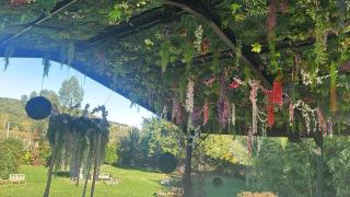 Domaine La Baronne - 2