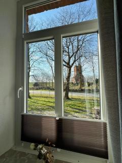 Heuler beim Ochsenturm am Deich - 2