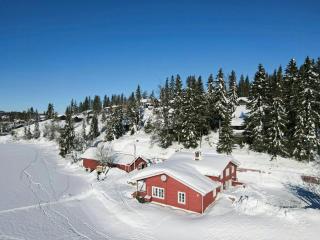 Family Cabin By Lake Mylla With Private Dock - 0
