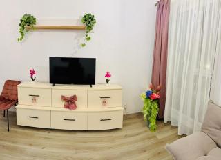 Corina Apartment - Braşov - 1