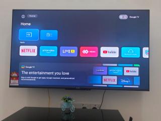 Betta Imbellis Stay - 9