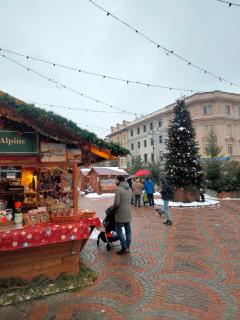 appartamento signorile con giardino - 9