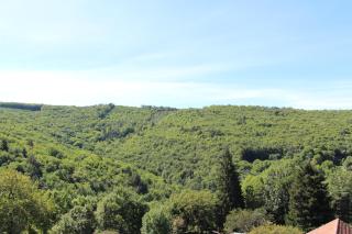 Maison de charme entre le Larzac et les Cévennes - 9