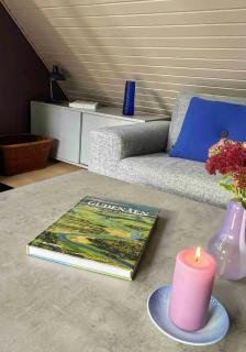 Outdoor Life In Renovated House Near Gudenå - 7